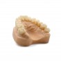 Течност за 3D печат на модели - Harz Labs Dental Model Beige Resin, 1кг Течност за 3D печат на модели - Harz Labs Dental Model Beige Resin, 1кг